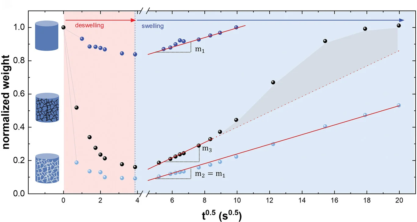 Deswelling and swelling curves as a function oft0.5of PNIPAM-bulk, PNIPAM-structured and PNIPAMEG (0.35 vol%).