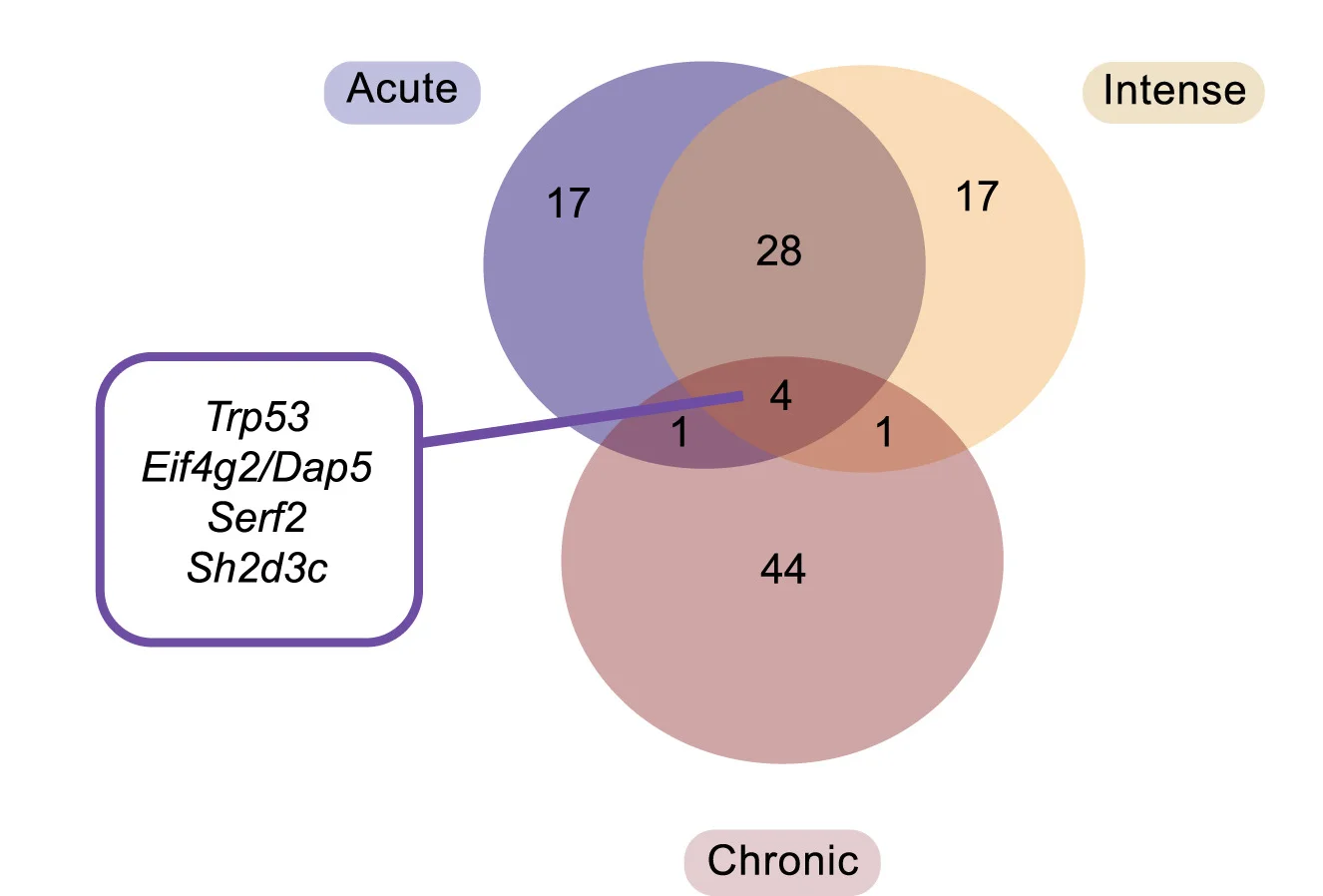 Numbers of overlapping genes from top 50 hits of each screen. Genes are listed by average effect size (Table S1).