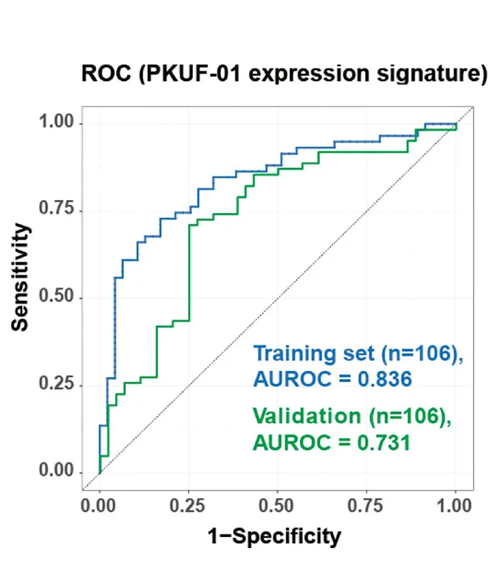 ROC curves of the 17-gene signature predicting PKUF-01 response in the training (n = 106) and validation (n = 106) sets. Area under ROC curves (AUROCs) are indicated.