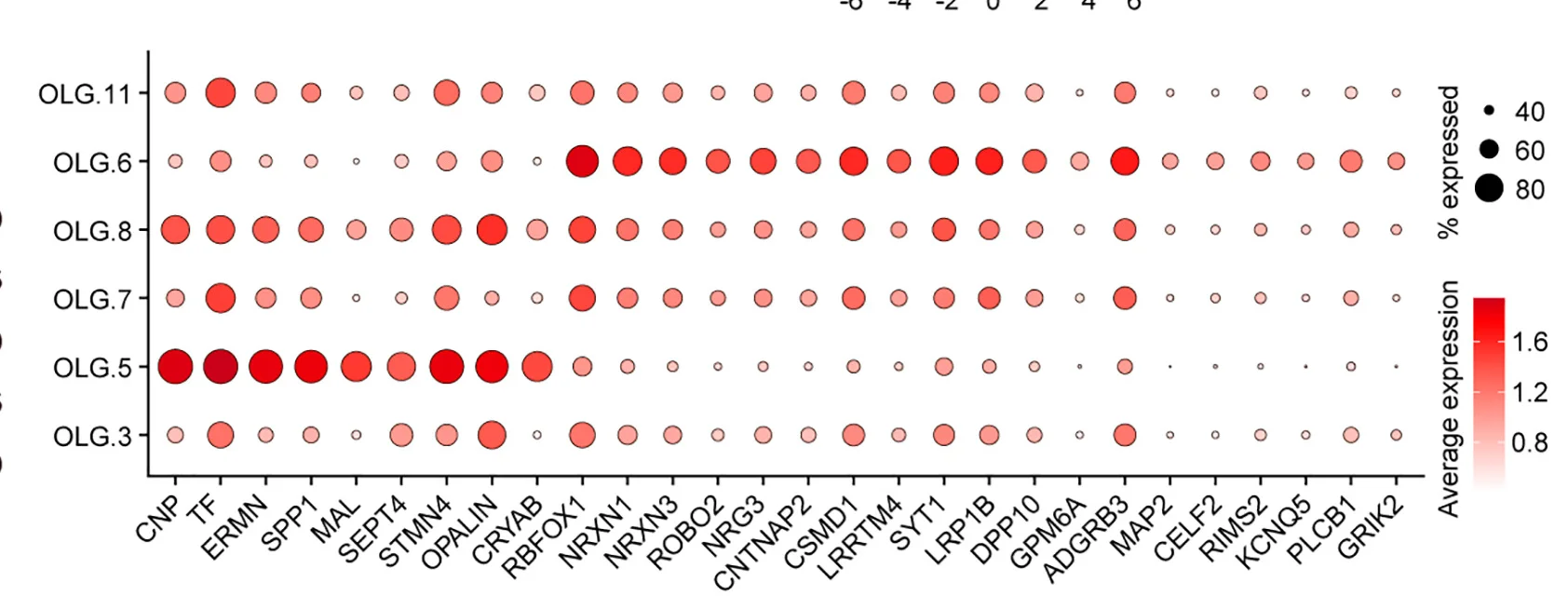 Expression patterns of the indicated genes in various OLG types. See alsoFigure S6andTable S5.