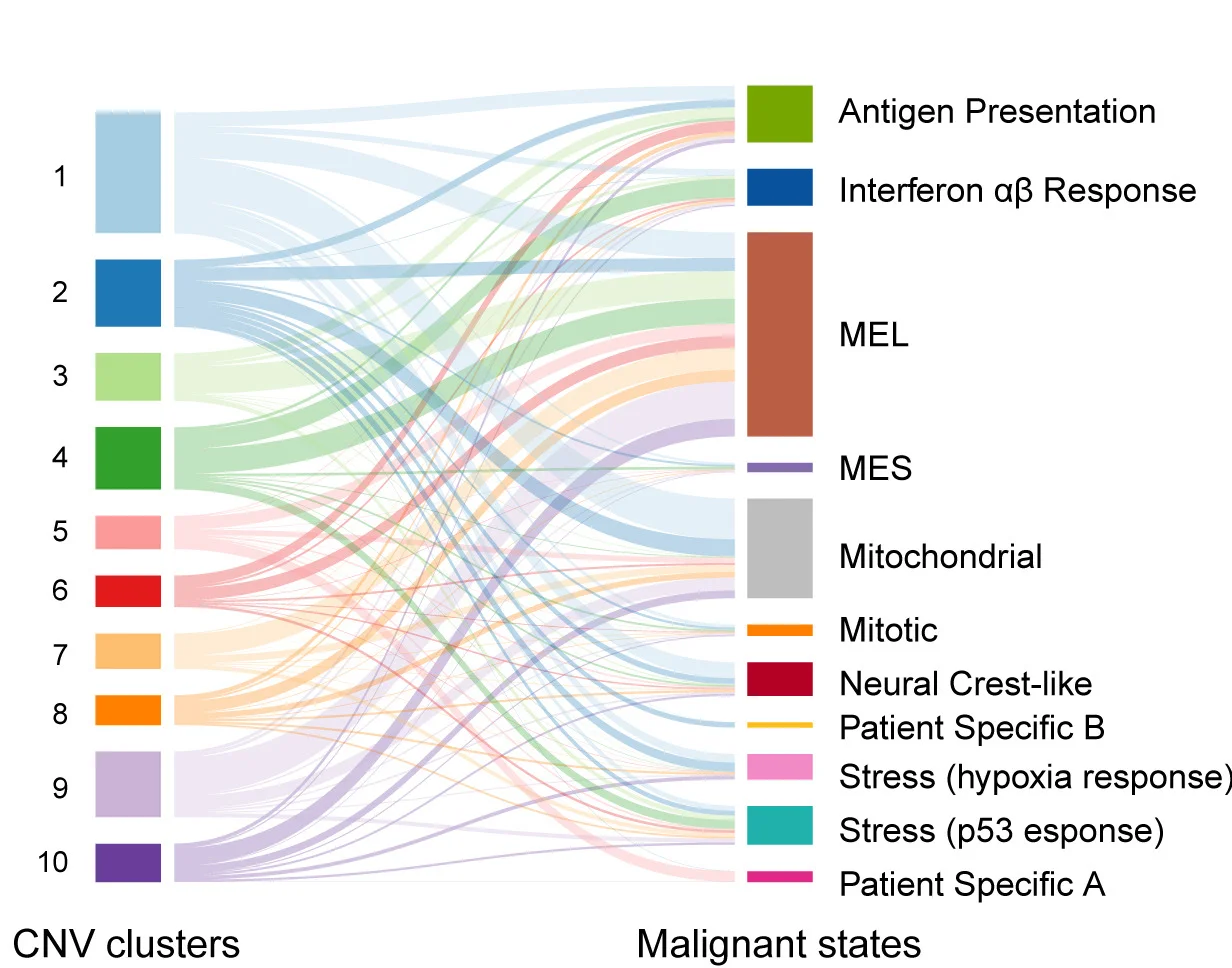 Alluvial plot showing that all 9 recurrent transcriptional clusters are fed with cells belonging to distinct genetic subclones identified by CNV inference from gene expression profiles. See alsoFigure S1.