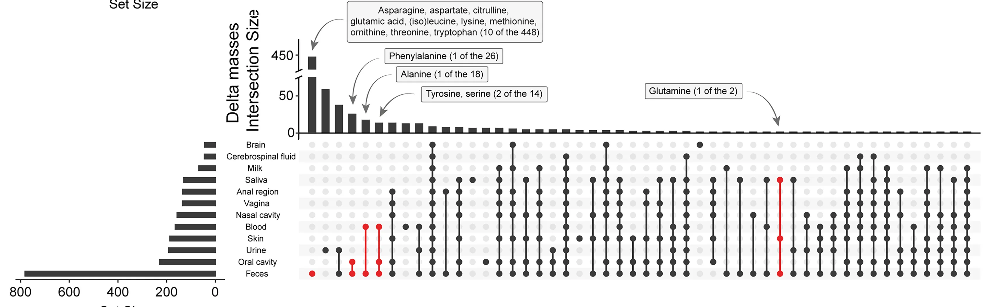 UpSet plots demonstrate the distribution of the delta masses within multiple body parts in humans. Vertical columns in the UpSet plots represent the number of unique delta masses (intersection size), with their distribution in different body parts (horizontal columns on the left, called set size) shown as black dot(s). The intersections highlighted in red correspond to delta masses corresponding to modifications for which we have annotations, including proteinogenic amino acids. For example, the phenylalanine delta mass is one of 11 delta masses found in seven sample types, including stomach, gallbladder, blood, cecum, ileum, jejunum, and feces.