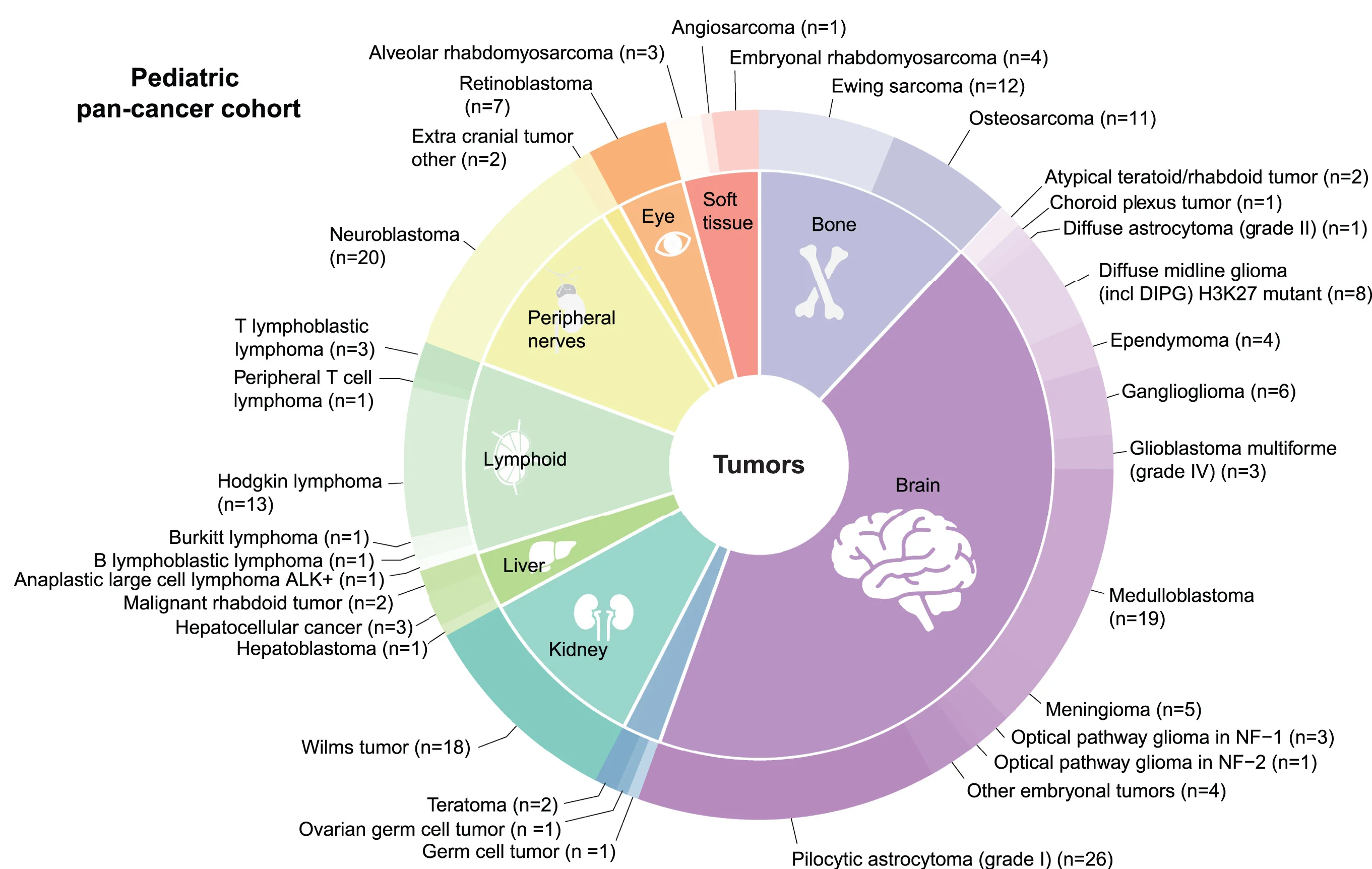 Distribution of 34 tumor types in N = 191 children included in the ISAC study.