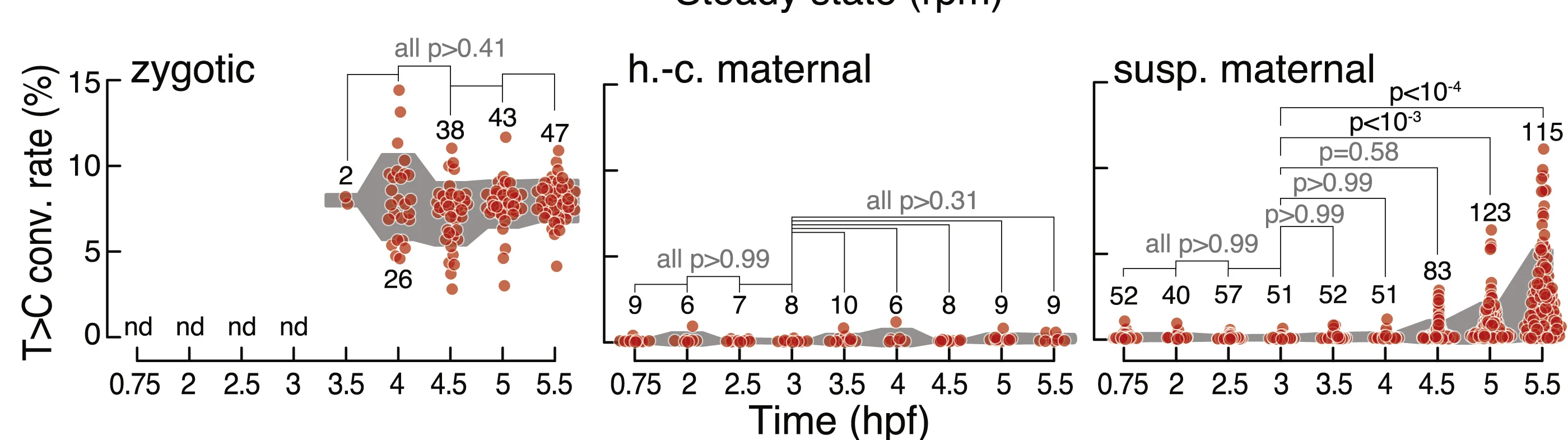 T>C conversion (conv.) rate for transcripts defined in (C) during MZT (time in hpf). Individual genes for which a confident average conversion rate could be derived from two independent biological replicates (red, n = number of genes) and interquartile range (gray area) are shown. p values (Kruskal-Wallis and Dunn’s multiple comparison test) are indicated; nd, not detected.
