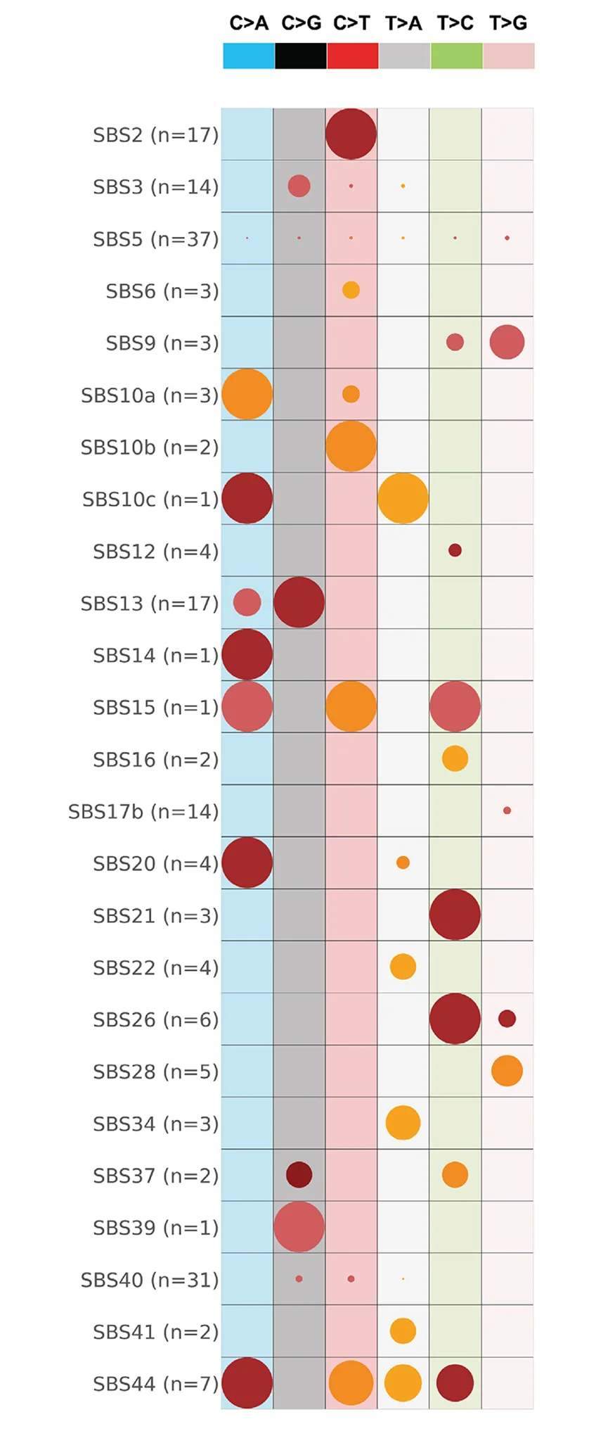 Replication strand asymmetries of SBS signatures. Rows represent the signatures, where n reflects the number of cancer types in which each signature was found. Columns display the six substitution subtypes based on the mutated pyrimidine base: C>A, C>G, C>T, T>A, T>C, and T>G. SBS signatures with replicational strand asymmetries on the lagging strand or on the leading strand with adjusted p values ≤0.05 (Fisher's exact test corrected for multiple testing using Benjamini-Hochberg) are shown in circles with red and yellow colors, respectively. The color intensity reflects the odds ratio between the ratio of real mutations and the ratio of simulated mutations, where each ratio is calculated using the number of mutations on the lagging strand and the number of mutations on the leading strand. Only odds ratios above 1.10 are shown. Circle sizes reflect the proportion of cancer types exhibiting a signature with specific replication strand asymmetry.