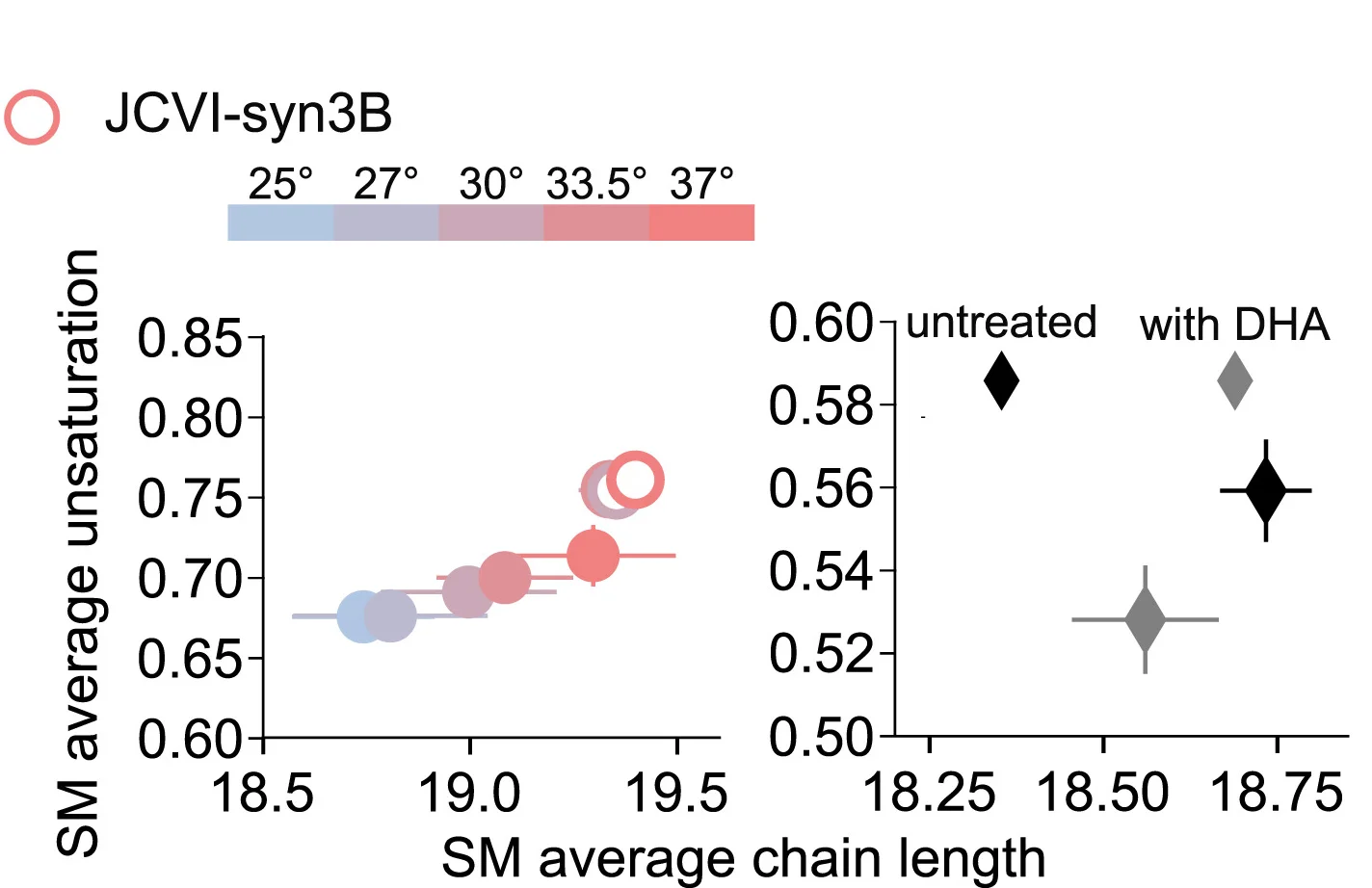 (Left) SM average chain length and unsaturation show the differences in SM features remodeling in M. mycoides (filled circles) and Syn3B (outlined circles). Mean ± standard deviation, n= 3. (Right) SM average features plotted against each other for RBL-derived GPMVs. n= 4 ± standard deviation, data adopted from Levental et al. n refers to the number of biological replicates in all samples.