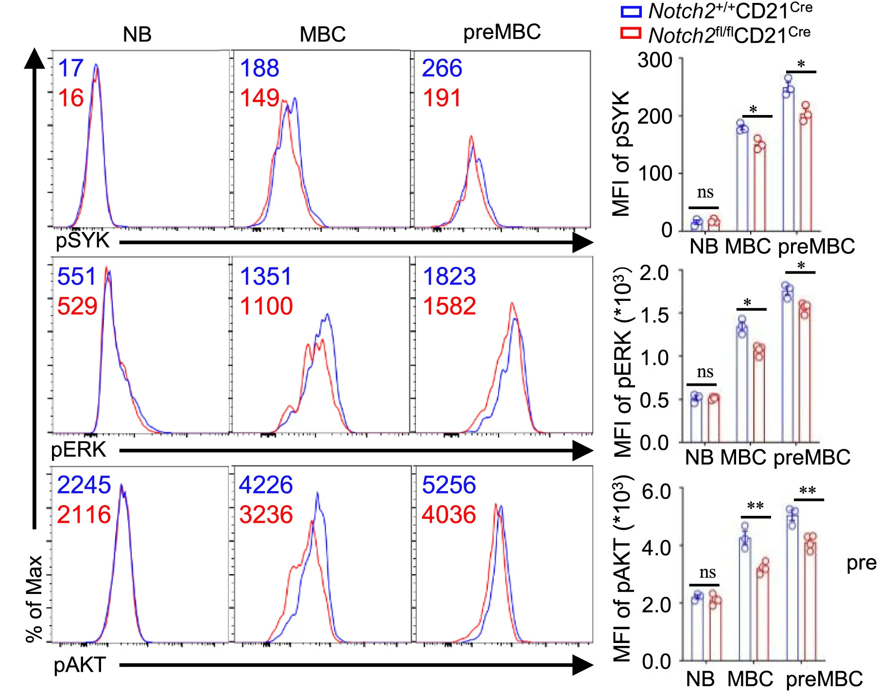 Representative FACS plots and quantifications of p-SYK, p-ERK, and p-AKT expression in indicated subsets.