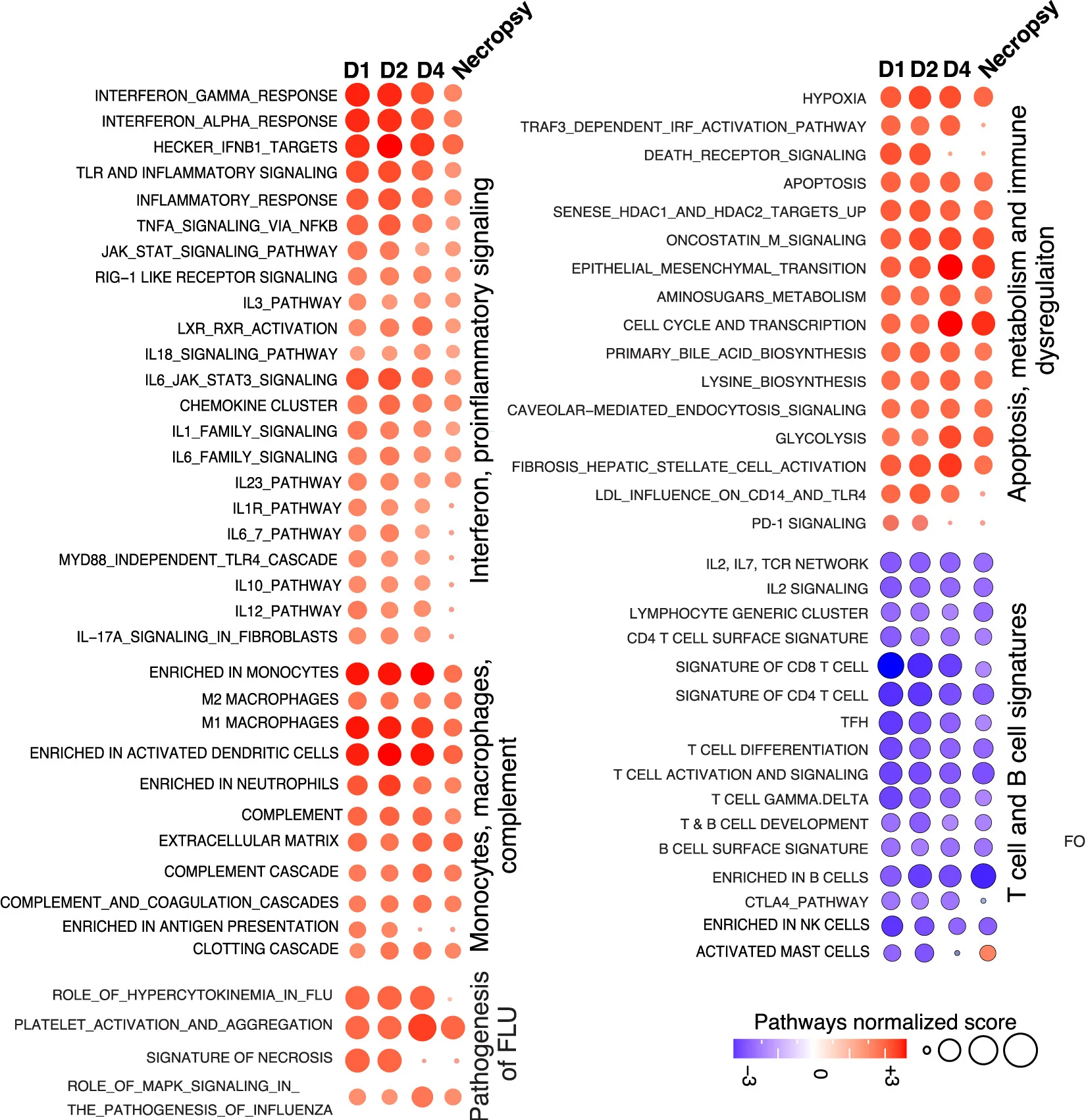 Transcriptomic profiling of cynomolgus macaques on days 1, 2, 4, or 7 and study termination (necropsy or day 18). Circle plots show gene signatures on various days following challenge as compared with baseline. Circle size refers to the level of the enrichment, and the color reflects if the pathway is enriched (red gradient) or reduced (blue gradient). All pathways were significant with a nominal p value of <0.05.