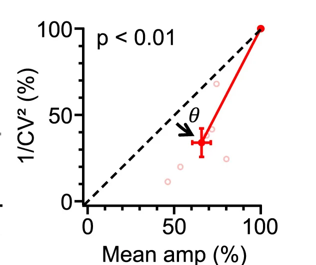 CV analysis (Wilcoxon test, θ = 17° ± 8°) agreed that CHX reduced release. Mean ± SEM.**p < 0.01,***p < 0.001.
