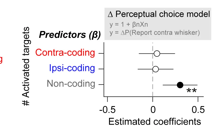 A multiple linear regression (MLR) model summarized the relationship between the number of photostimulated stimulus-coding and non-coding neurons and perceptual bias. Marker points shown the estimated coefficients with error bars indicating the 95% confidence intervals.