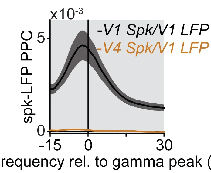 PPC between V1 LFPs and V1 single units (SU) (n= 311) or V4 SUs (n= 397).