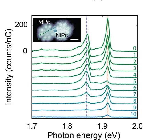 Set of STML spectra taken across a PdPc-NiPc dimer with R 1.85 nm. QNiPc emission was strongest when the tip was parked on the PdPc with maximum distance to the NiPc, and it vanished as soon as tunneling into NiPc was possible (It= 100 pA, Vs= -2.5 V, and t= 120 s).