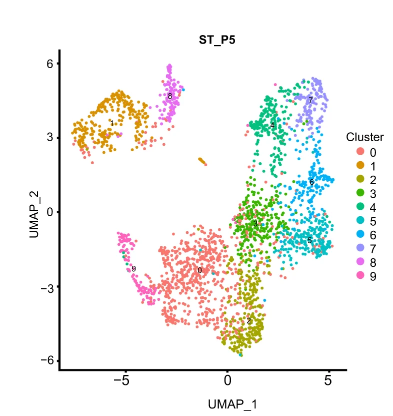 UMAP plots of 2481 spatial spots (10 clusters). Spot color was consistent with corresponding cluster identity.