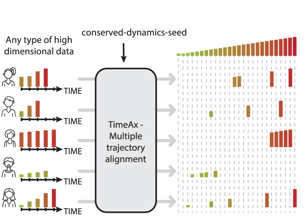 An illustration describing TimeAxs utility for revealing the shared disease progression dynamics and the projection of patients-specific disease pseudotime positions, integrating the differences between patients disease trajectories over time.