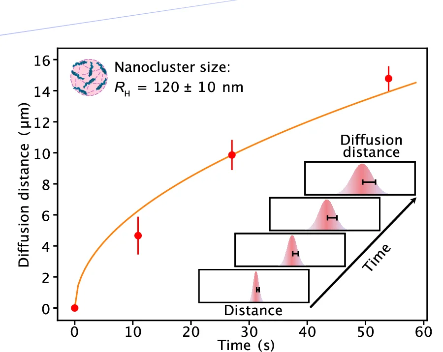 Plot of mean diffusion distance versus time of travel within the channel. The inset graphically shows how diffusion distances were determined. The diffusion distance corresponds to the half of the full-width half maximum (FWHM) of the Gaussian distributions at each measurement point. The width at timepoint zero was used for normalization. Data points (mean) are from three repeats; error bars indicate standard deviations. The orange line shows the fit according to Eq. 1 . The extracted average R H of TDP-43 nanoclusters is given as an inset (mean ± standard deviation).