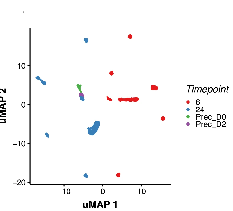 UMAP colored by time point.
