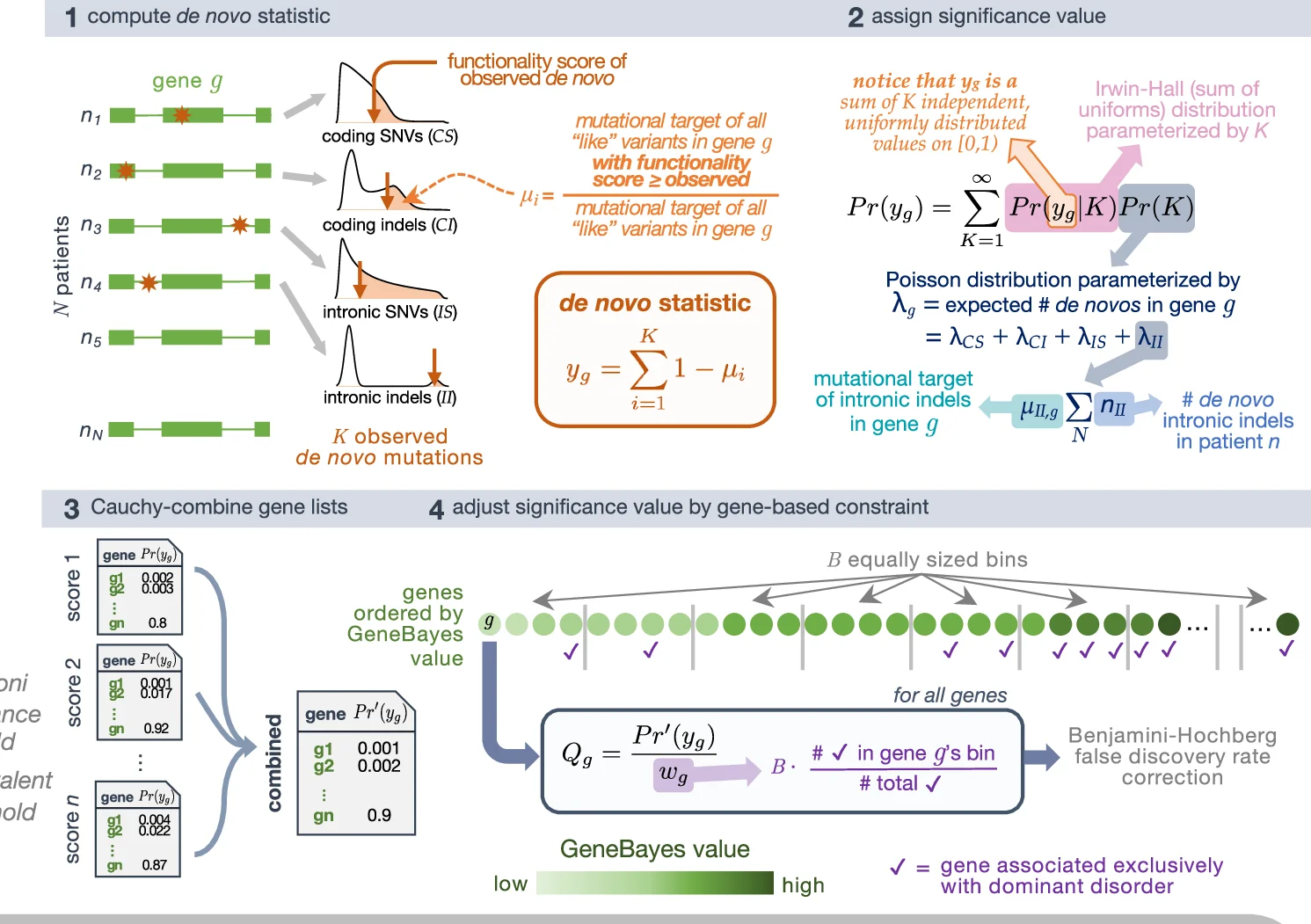 Schematic of analytical test for the recurrence of de novos that considers distal splice-altering and exonic SNV and indel variants, their variant functionality scores, a genome-wide mutation rate model Roulette, and per-gene GeneBayes constraint values. “Like” variants refer to those of the same variant class (i.e., coding SNVs [ CS ], coding indels [ CI ], intronic SNVs [ IS ], intronic indels [ II ]) and within the same functionality score and minor allele frequency thresholds.