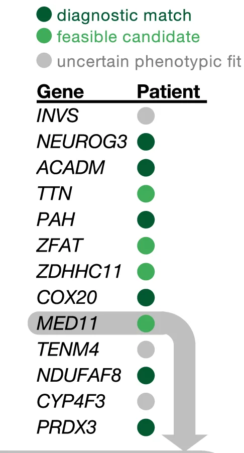 Top ranked genes resulting in the best enrichment statistic computed for RaMeDiES-IND. Putative candidates refer to genes that remain candidates for pathogenicity due to their phenotypically-relevant tissue expression, but where there is not enough functional evidence or published gene disease relationships to establish causality at this time.