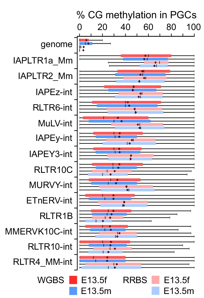 Methylation of the top methylated retrotransposon families compared to the whole genome in E13.5 PGCs. The boxplots show the distribution of methylation levels of individual CpGs overlapping with individual copies of each retrotransposon family in the WGBS or RRBS datasets. On average, 69% and 12% of the total number of individual genomic copies are covered in the WGBS and RRBS datasets, respectively. The numbers of CpGs and individual copies covered in each dataset are given in the source data file.