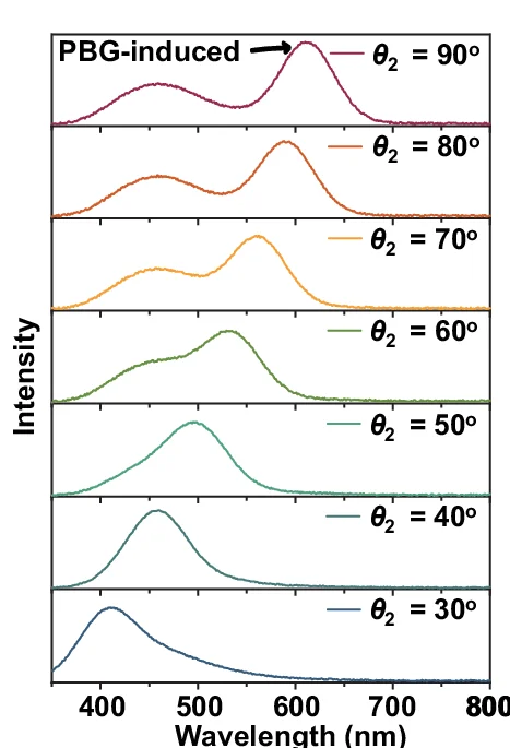 Angle-dependent FL and RTP spectra of R-PC gel.