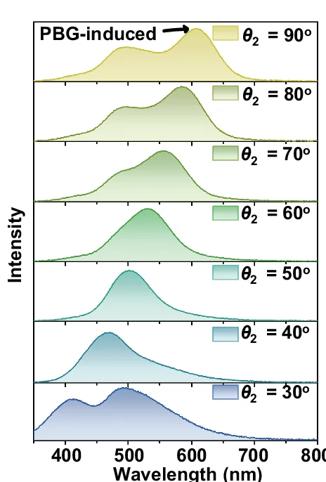 Angle-dependent FL and RTP spectra of R-PC gel.