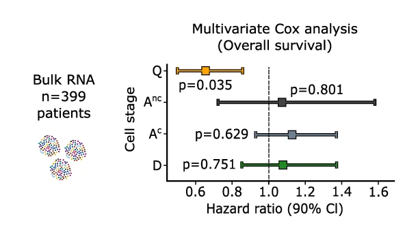 Predicted hazards with 90% confidence interval from a Cox model of n = 399 bulk GBMs from TCGA 40 and Wu et al. 24 , with age and sex covariates of overall survival by GBM-QAD signature scores. P -value from multivariate Cox model with BH-correction.