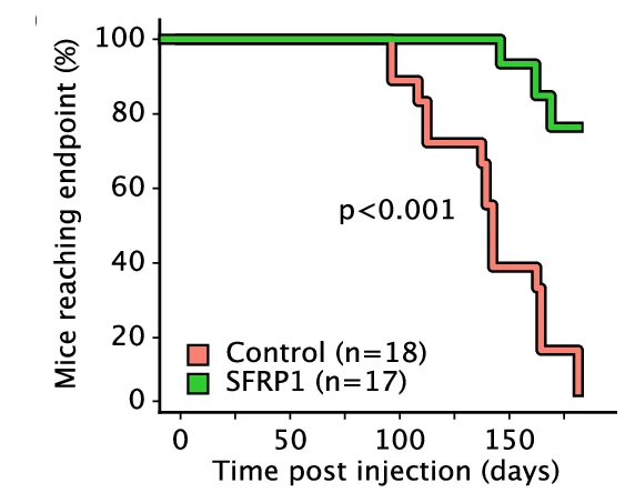 Selected GSEA enrichments from genes ranked by DEseq2 log fold-change between pseudobulked SFRP1-OE and control from ( c ). P-values from GSEA enrichment are FDR-adjusted.