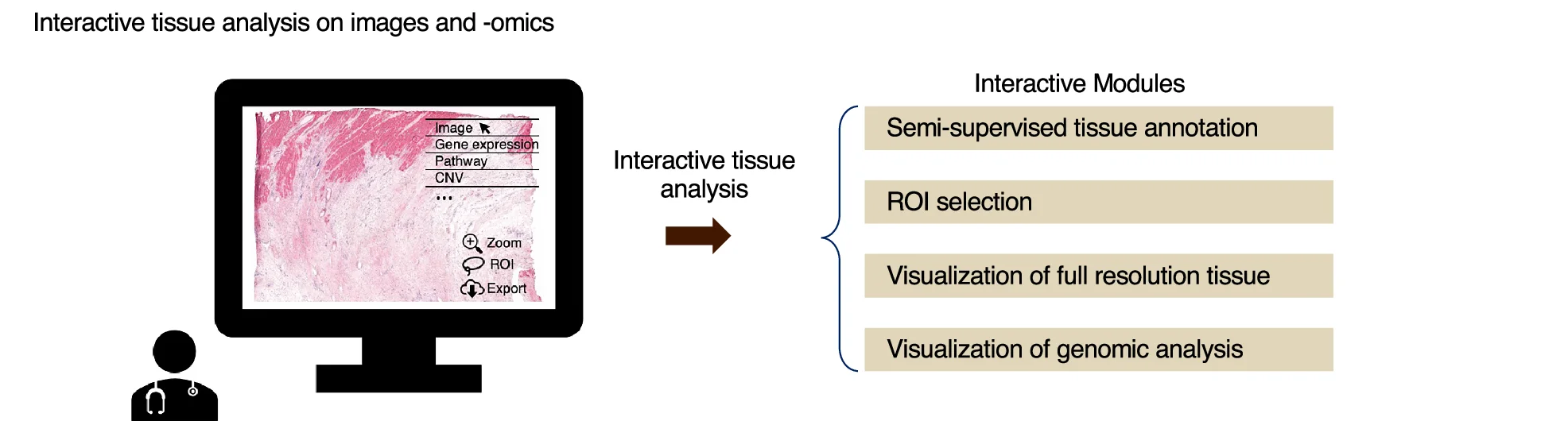 The Mjolnir platform supports interactive multimodal tissue analysis.