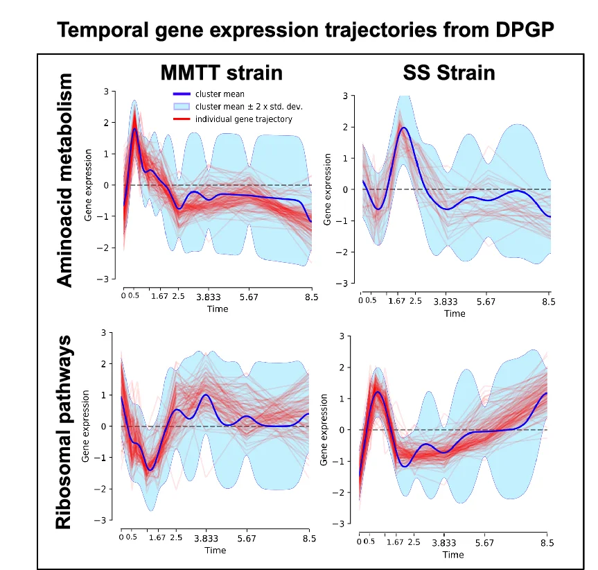 Temporal gene expression trajectories of genes involved in amino acid metabolism and ribosomal pathways, derived from DPGP clustering. Shaded regions represent 2 standard deviations (SD) around the mean expression trajectory.