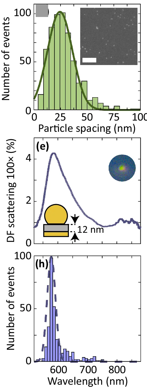 The spacing distribution between the nano-objects determined from the scanning electron microscope image in the inset. The scale bar of the inset is 200 nm.