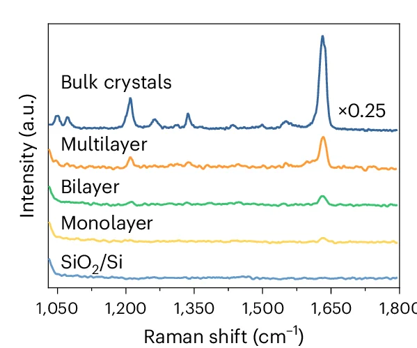 Raman spectra of bulk 2DWPN-1 and 2DWPN-1 flakes.