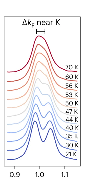 Temperature-dependent measurements along the K′–Γ–K direction ( h ν = 70 eV, LH polarization) from within a single domain. The dispersions measured at 70 K ( d ) and 21 K ( g ) show a marked change in the band splittings, which are also evident in temperature-dependent MDCs at the Fermi level extracted along the dashed lines shown in d and g across the α 1 and α 2 bands near K′ ( e ) and K ( f ).