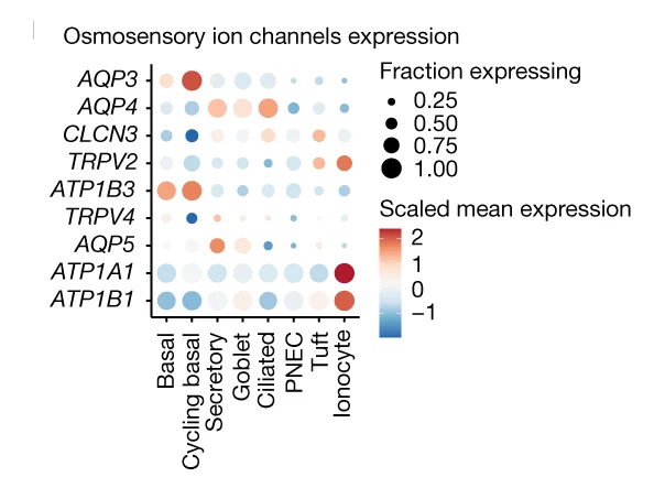 Osmosensory ion and water channel gene expression in different cell types.