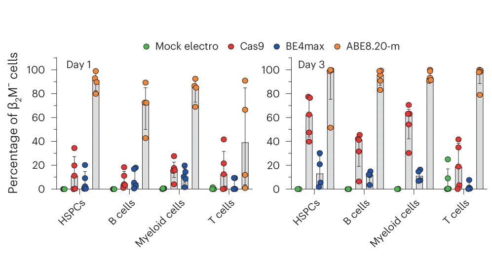 Percentage of B2M − cells within hematopoietic lineages from BM (HSPCs) and SPL (B cells, myeloid cells and T cells) from a (n = 5, 5, 5 and 4 for day 1; n = 5, 5, 4 and 5 for day 3). Data are shown as median with IQR.