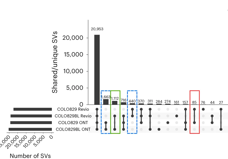 Tumor/normal comparison of the COLO829 cell line using two different sequencing technologies: ONT MinION and PacBio Revio. Highlighted are the tumor-specific SVs (in red), the normal/control-specific SVs (in green) and the technology-specific SVs (dashed lines). In the cancer-specific SV, we found variants overlapping with cancer-related genes, such as PTEN, PMS2, ARHGEF5, PAK2 and WWOX. Differences between ONT and Revio calls for the same cell line can be attributed to either technology differences or the evolution of the cell line through time.