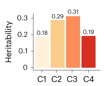 Heritability of the SNPs in each of the four categories for FL.