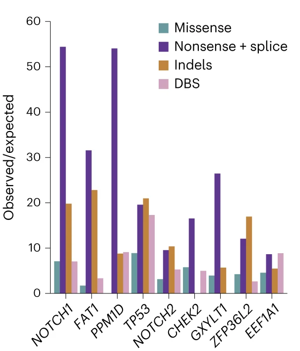 Observed-to-expected ratios for different mutation classes in each gene.
