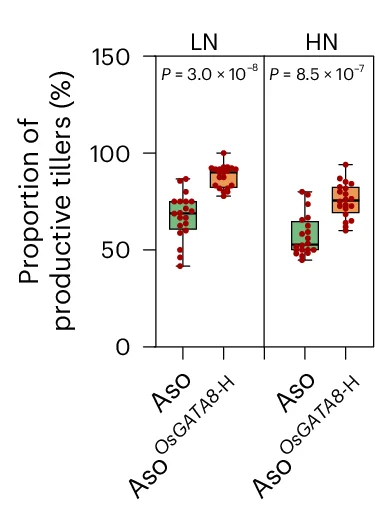PTNR ( f ) and proportion of productive tillers (PT%, g ) of the genotypes in a . n = 20 plants. PTNR, productive tiller number under LN condition/productive tiller number under HN condition.