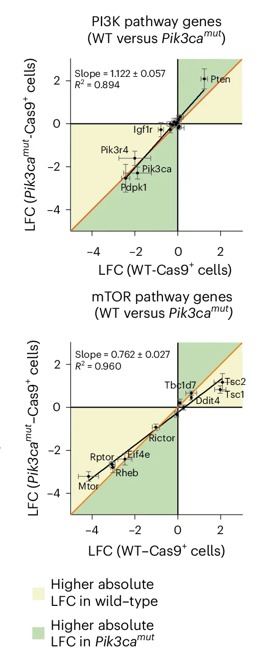 Plots showing the correlation between average log 2 (fold change) of gRNA targeting indicated genes in the following cells and conditions: Pik3ca H1047R/wt cells ( y axis) versus WT cells ( x axis) in control (CTL) condition (the panels indicate gene sets of PI3K pathway genes (top) and mTOR pathway genes (bottom)). In c – e , the yellow and green areas of each graph indicate the higher absolute log 2 (fold change) in x -axis or y -axis condition, respectively. Linear regression (black) with slope and coefficient of determination R 2 . Identity line, orange. The error bars indicate the s.d. of n = 2–3 screen replicates.