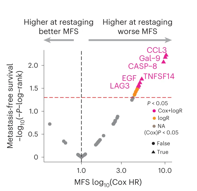 Volcano plot for MFS based on urine proteins at time of clinical restaging ( n = 59, patients without samples or outcome data were excluded) showing log-rank test ( y axis) and Cox regression hazard ratio ( x axis). For associations with cCR, adjustment for multiple comparisons was performed using the BenjaminiHochberg method. FDR, false discovery rate; HR, hazard ratio; Nivo, nivolumab; NA, not applicable.