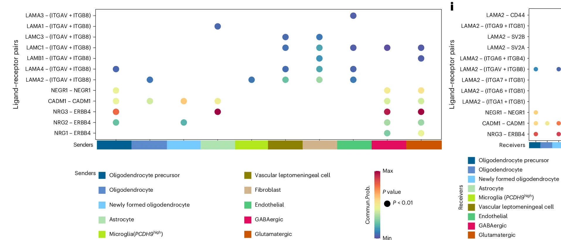 Dot plot displaying the expression of significant ligandreceptor pairs in the NRG, CADM, NEGR and laminin pathways from all senders to hippocampal microglia ( PCDH9 high ). P values are computed from a onesided permutation test according to CellChat.