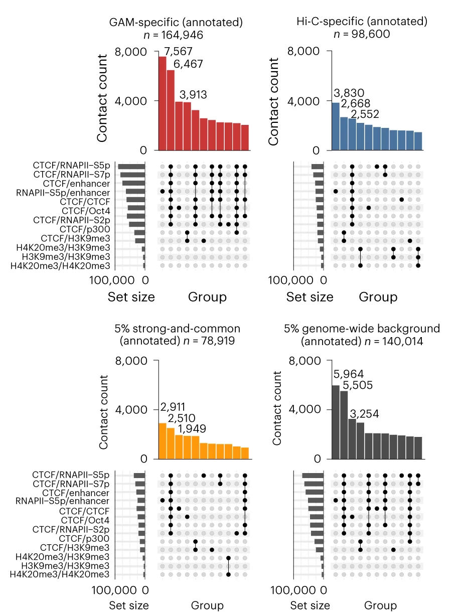 UpSet plots quantifying the co-occurrence of enriched feature pairs selected in c for contacts of each subgroup.