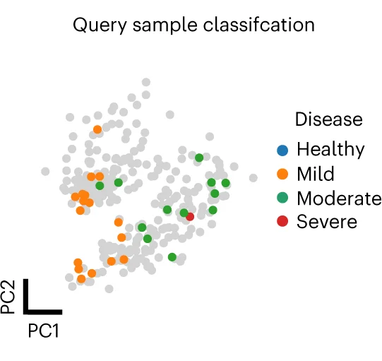 Unlabeled sample embeddings are shown in PCA space colored by their predicted disease state on top of the reference sample embeddings in gray.