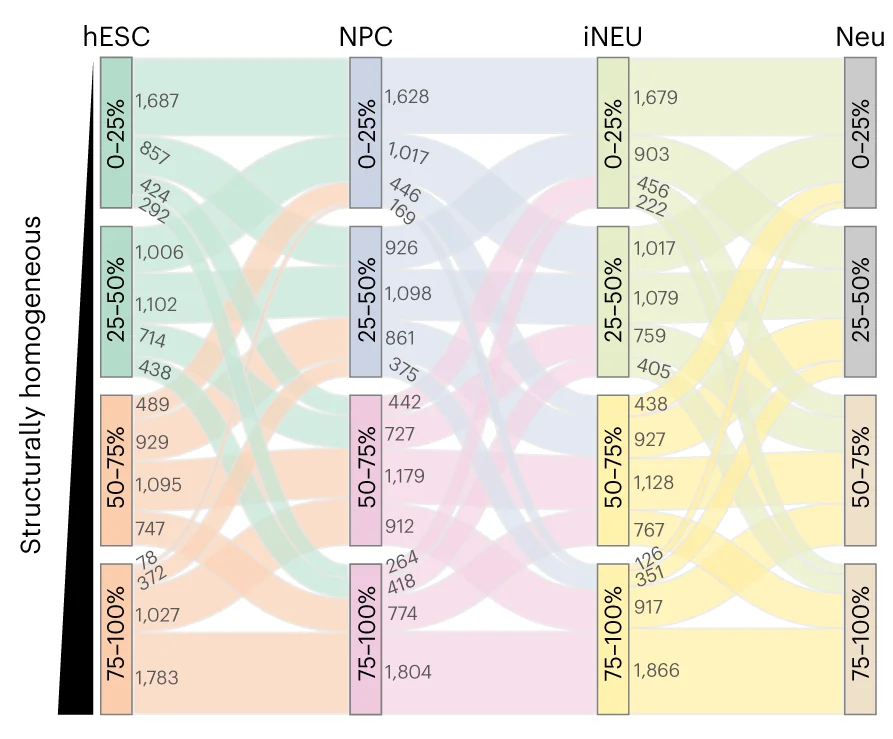 Sankey plots showing the changes in window-level heterogeneity during the neuronal differentiation process. To simplify, shared windows of four stages are grouped into four quartiles according to their heterogeneity values in each stage.