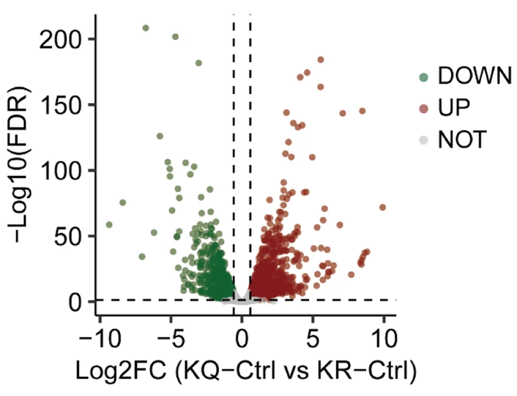 Volcano plots of all quantified genes from the gene expression profiles between the KLF5 K369Q and KLF5 K369R in PC-3 cells.