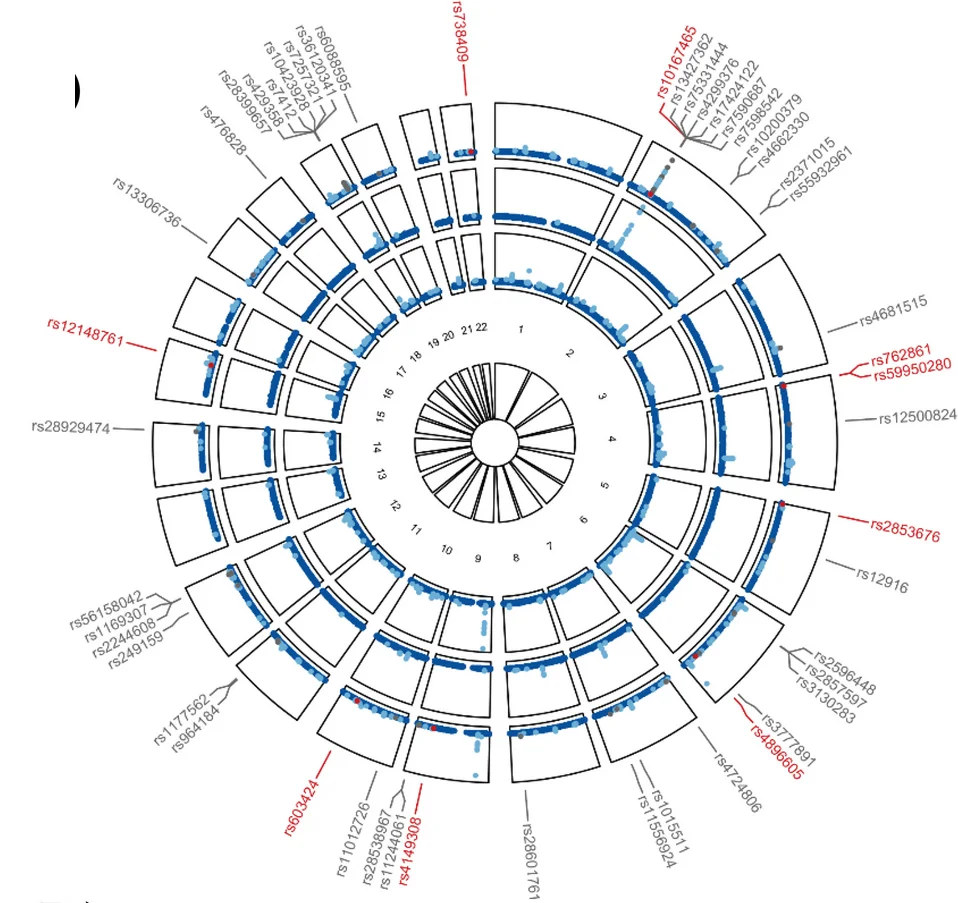 In each circular Manhattan plot, the outermost circle shows the cross-trait meta-analysis results between gallstone disease and coronary artery disease; from the periphery to the center, each circle shows the GWAS results on gallstone disease and cardiovascular diseases, respectively. Light blue indicates variants with genome-wide significance (P < 5 x 10 –8) while dark blue indicates variants with P ≥ 5 x 10 –8. According to their single-trait and cross-trait characteristics, SNPs are divided into two different types named “Known associated SNP” and “Novel shared SNP”,which are presented in grey and red, respectively. RSIDs of them are listed.