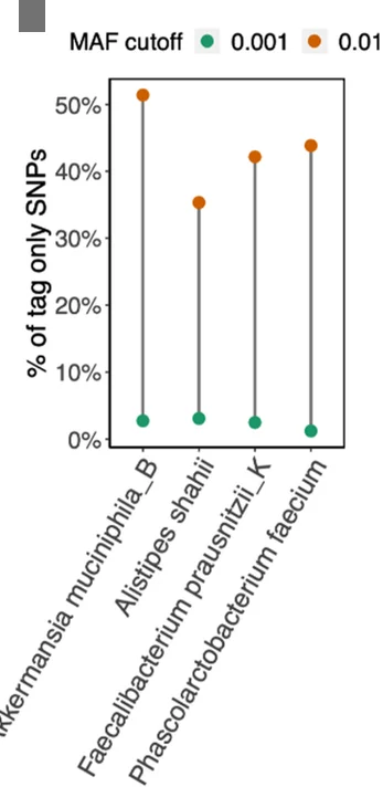 SNP sites missing from a small percentage of genome assemblies as they fall below the user-specified prevalence threshold due to being absent in a group of redundant genomes. Connected dots represent example species in c with a high proportion of tag-only SNPs. The proportion of tag-only SNPs drops if the MAF cutoff for calling SNPs with all genomes is lowered from 0.01 (orange) to 0.001 (green). Most of the SNPs only discovered with tag genomes (tag-only SNPs) are due to MAFs below the 1% threshold in all genomes.