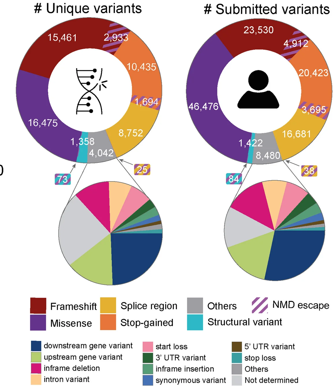 The predicted variant consequence of all unique ClinVar variants and submissions. NMD: nonsense-mediated decay, UTR: untranslated region