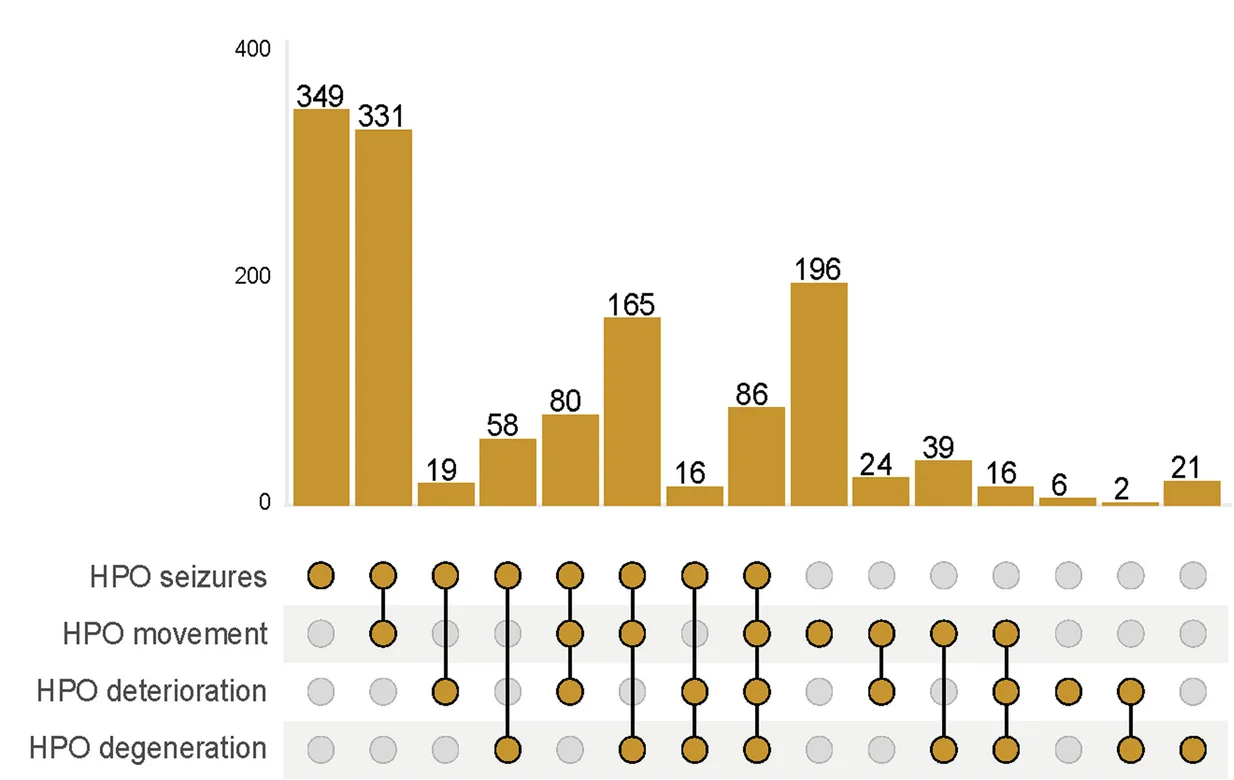 UpSet plot showing exclusive combinations of HPO terms associated with gene-NDD associations, where the sum across all combinations corresponds to the number of cases in the gold section of the pie chart. HPO (Human Phenotype Ontology)