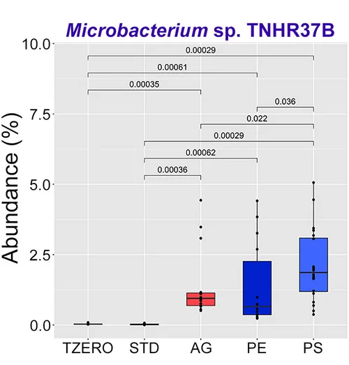 Boxplots of major changes in the abundance of species belonging to the most represented phyla determined by shotgun metagenomics read-mapping